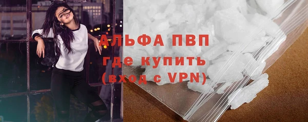 эйфоретик Няндома