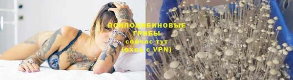 Альфа ПВП Нягань