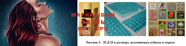 стаф Осинники