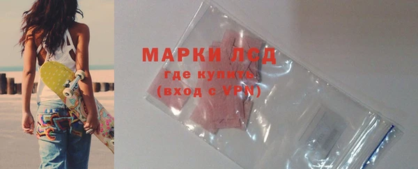 стаф Осинники