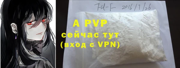 амф Белая Холуница