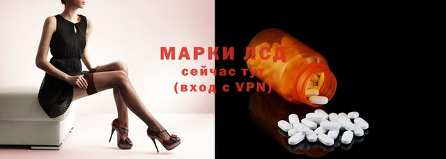 стаф Осинники
