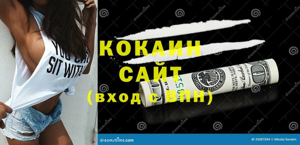 стаф Осинники