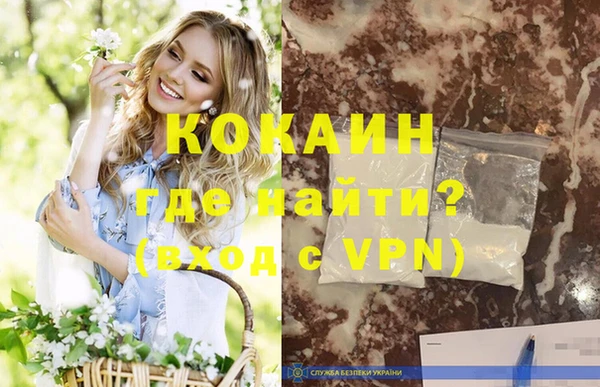стаф Осинники