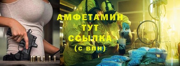 эйфоретик Няндома