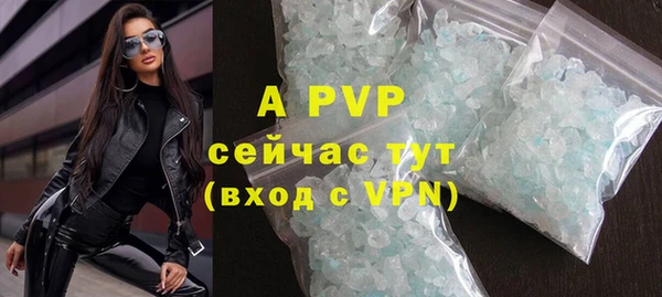 эйфоретик Няндома